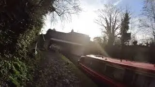 ride into flore
