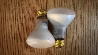 Westinghouse 50watt R20 Flood Light Bulb