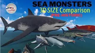 Prehistoric sea monsters size comparison  🐳🐬🐟🐠🐡🦈🐙🐚🐋🦑