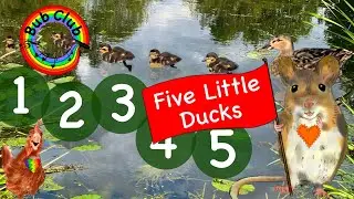 🦆Five Little Ducks🐥 - Bub Club | Kids Songs & Nursery Rhymes