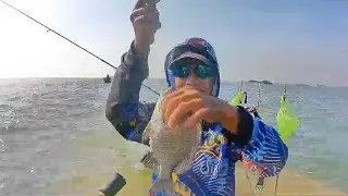 Mancing Didam Merah Dapat Patik Super Babon