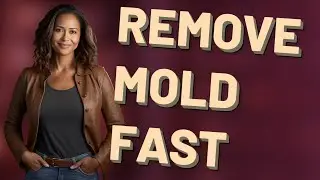 How Can You Quickly Remove Mold from a Humidifier?