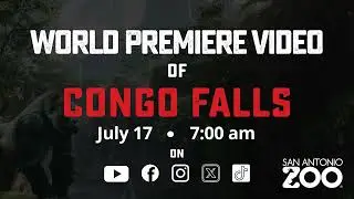 Congo Falls World Video Premiere Teaser