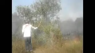 Hutan kebaran