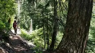 Opal Creek Wilderness | Opal Lake Before the Historic Oregon Wildfires | Will live on in our hearts 