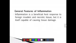 🔥Pathology Course - Lecture 3- Acute Inflammation