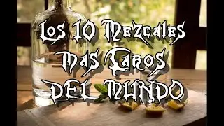 TOP: Los 10 Mezcales mas Caros del Mundo