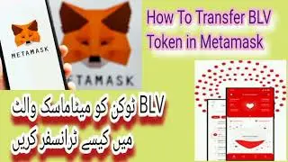 How To Transfer BLV Token in Metamask Wallet