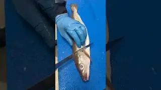 Filet de Merlan, #poisson #seafood #p&ecirc;che #fish #cuttingskills