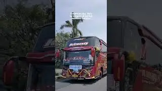 #viral #videobus #kupukupuayutrans #bismania #bismaniacommunity #busmaniacomunity #bus #fyp #shorts