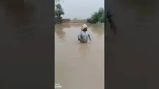 The flood caused chaos#flood#flood2023#floodinindia#floodinpakistan#floodinindia2023#flooding#shortv