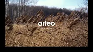 Meet the Arteo Marble Series! #arteo