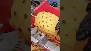Effortless Pineapple Prep: The Ultimate Industrial Fruit Peeler