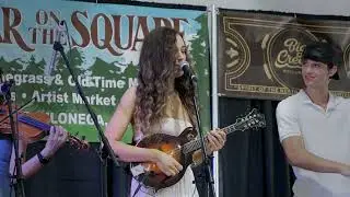 Bear On The Square - Main Stage - Indigo Roots - The Farmer's Wife