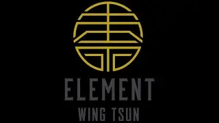 Wing Tsun - Wooden Dummy Free Style (free hand)