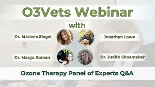 Three veterinary ozone therapy experts answer crucial questions about this antiviral treatment.