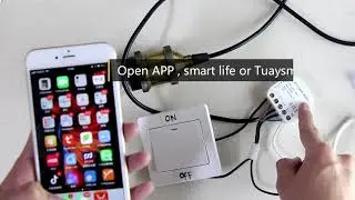 wifi samrt switch 220-240V 2300W Timer light Switch Voice Control Amazon Alexa Google App Smart Life