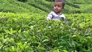 Firouninte priyapathnik... madh song.. #viral song