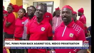 TUC, PUWU push back against ECG, NEDCo privatization
