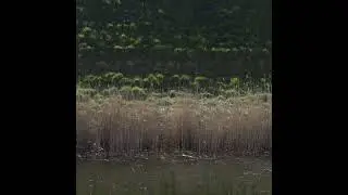 VSJ - Untitled 1