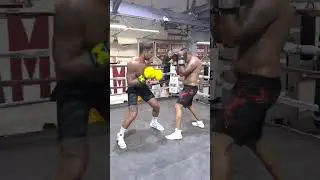 Йордан Фуэнтес начал работать с чемпионом UFC в полутяжелом весе Алексом Перейрой