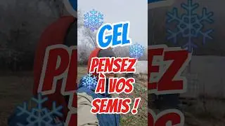 Profitez du gel pour stratifier vos semences qui en ont besoin... 🥶❄️