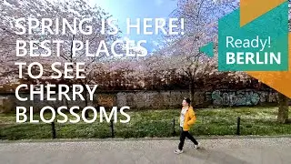 Q-We Guide • Ready!BERLIN: Spring is Here! Best Places to See Cherry Blossoms