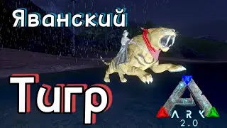 Приручение Яванского тигра | Seos PvP | Ark: Mobile