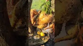 Grilling Chicken Over Fire Like a Pro 🔥🍗 | ASMR Cooking Outdoors