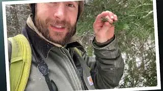 Wild Neighbors Nature Connection Promo Video 2