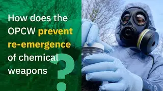 How does the OPCW prevent the re-emergence of chemical weapons?