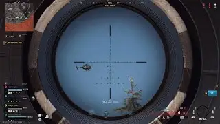Shot the bird