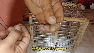 Cómo hacer jaula con tapas Red (Última parte) ♥️👍