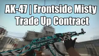 CS:GO : AK-47 | Frontside Misty Trade Up! (New Shadow Case Skin)