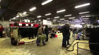 Agribition Proud