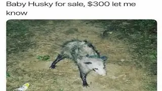 r/CrackheadCraigslist {3}
