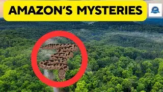 Amazon's Top Mysteries | Tamil | JY Entertainment