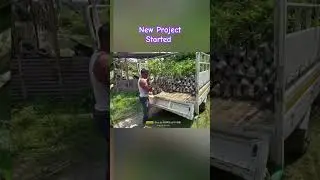 #newproject started #growmoretrees 🌨️🍃🌱🙏