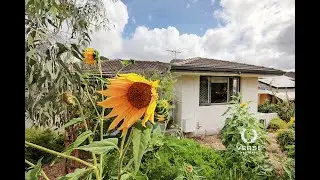 118 Boundary road, St James. Julian Leach, Verse Property!
