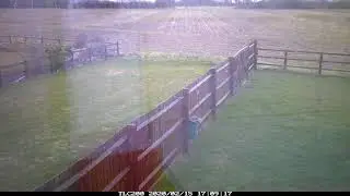 Storm Dennis shaking fences and trees - Bedford, UK - 15th February 2020