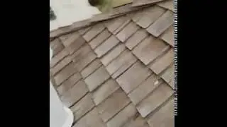 How to get your insurance to pay for replacing a wood shake roof with hail damage.