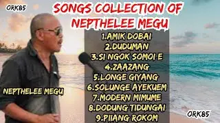 Songs Collection Of Nepthelee Megu || Songs of Nepthely Megu || New Adi Song Of Nephthely Megu ||