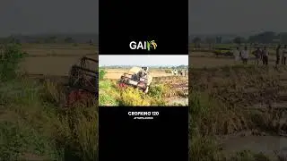 #GAI🌾#worldwideagriculture