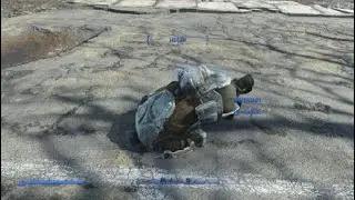 Funniest Glitch XD