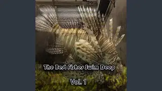Party of the Day (Hip Hop Instrumental 2017 Mix)