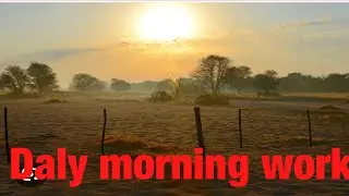 Daly ਵਰਕ                                              #workfromhome #work #dalyvlog #dalyroutinework