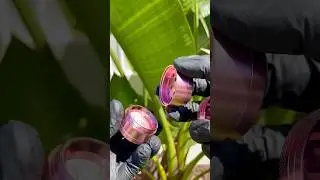ASMR grinder rosa de metal na nossa loja 🌸