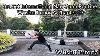 3rd Set International Nan Quan (A) Routine Chapter 03 Tutorial