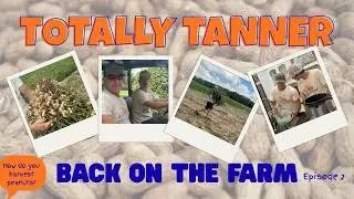 TANNER IS BACK ON THE FARM! Do you like boiled peanuts? Tell me if you eat them in the comments!
