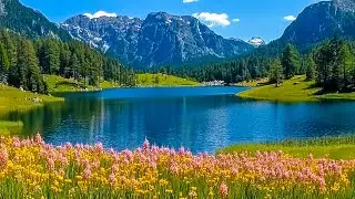 BEAUTIFUL SOUNDS OF SPRING 🌸 The piano keys resonate in the warm air 🌸 Music to relieve stress